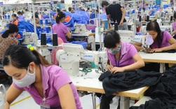 Mục tiêu xuất khẩu của ngành dệt may bị đè bẹp vì thiếu đơn hàng