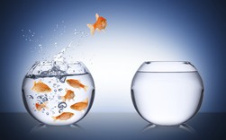 Vì sao mọi người thường kháng cự lại sự thay đổi dù biết điều này là tốt? Vì sao mọi người thường kháng cự lại sự thay đổi dù biết điều này là tốt?