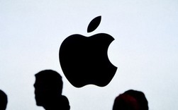 Đố bạn biết vì sao Steve Jobs lại đặt tên công ty của mình là Apple? Đố bạn biết vì sao Steve Jobs lại đặt tên công ty của mình là Apple?
