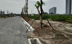 Dự án BT nâng khống 36 tỷ của Bitexco: Mải xây nhà bán, “quên” làm đường?! Dự án BT nâng khống 36 tỷ của Bitexco: Mải xây nhà bán, “quên” làm đường?!