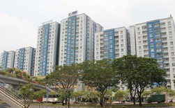 Bị cắt tiền hỗ trợ, cư dân Carina cầu cứu lãnh đạo TP.HCM Bị cắt tiền hỗ trợ, cư dân Carina cầu cứu lãnh đạo TP.HCM