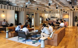 Mới hoạt động 8 năm và được định giá hơn 30 tỷ USD, tỷ phú 'liều ăn nhiều' Masayoshi Son khẳng định startup này sắp trở thành Alibaba thứ 2 Mới hoạt động 8 năm và được định giá hơn 30 tỷ USD, tỷ phú 'liều ăn nhiều' Masayoshi Son khẳng định startup này sắp trở thành Alibaba thứ 2