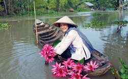 "Bí mật" thâm nhập thị trường tiêu dùng miền Tây: Khách hàng, đối tác tin tưởng vào mối quan hệ lâu năm, sự truyền miệng về sản phẩm "Bí mật" thâm nhập thị trường tiêu dùng miền Tây: Khách hàng, đối tác tin tưởng vào mối quan hệ lâu năm, sự truyền miệng về sản phẩm