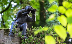 Đây là cách những người sáng tạo luôn ngập tràn ý tưởng còn bạn thì không Đây là cách những người sáng tạo luôn ngập tràn ý tưởng còn bạn thì không