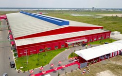 Tân Hiệp Phát vượt lên người khổng lồ như thế nào? Tân Hiệp Phát vượt lên người khổng lồ như thế nào?