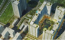 Kiểm tra việc môi giới mua bán nhà ở xã hội thu tiền chênh lệch Kiểm tra việc môi giới mua bán nhà ở xã hội thu tiền chênh lệch