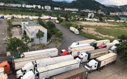 Trung Quốc siết thông quan, 500 xe container thanh long ách tắc tại cửa khẩu Lào Cai Trung Quốc siết thông quan, 500 xe container thanh long ách tắc tại cửa khẩu Lào Cai