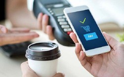Ví điện tử tại Việt Nam nên mở cửa thế nào với nhà đầu tư ngoại? Ví điện tử tại Việt Nam nên mở cửa thế nào với nhà đầu tư ngoại?