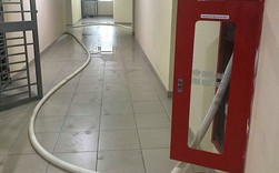 Chung cư cao cấp chằng chịt vòi cứu hỏa để ‘giải khát’ nước sạch Chung cư cao cấp chằng chịt vòi cứu hỏa để ‘giải khát’ nước sạch