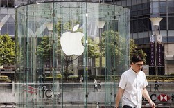 Apple lại viết đơn "kêu cứu" mong Chính phủ Mỹ đừng đánh thuế iPhone Apple lại viết đơn "kêu cứu" mong Chính phủ Mỹ đừng đánh thuế iPhone
