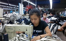 Cảnh báo nóng về liều thuốc bổ từ Hiệp định EVFTA Cảnh báo nóng về liều thuốc bổ từ Hiệp định EVFTA