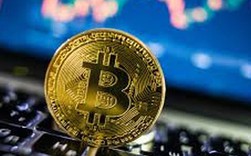 Bitcoin lao dốc không phanh Bitcoin lao dốc không phanh
