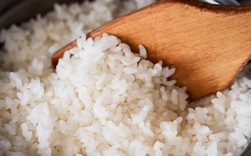 Bộ Y Tế Malaysia khuyến cáo: Không nên ăn cơm nguội vì đó có thể là nguyên nhân gây ngộ độc thực phẩm