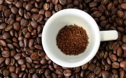 Bloomberg: Ngành cà phê Việt Nam tham vọng tăng gấp đôi giá trị xuất khẩu lên 6 tỷ USD, đẩy mạnh cà phê hòa tan cạnh tranh với ông lớn Nestle