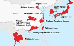 Mỹ xác nhận bệnh nhân đầu tiên nhiễm virus Vũ Hán, WHO cân nhắc ban hành tình trạng khẩn cấp quốc tế