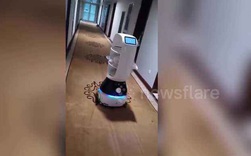 Giữa đại dịch, dân Trung Quốc dùng robot để giao đồ ăn cho người bệnh bị cách ly