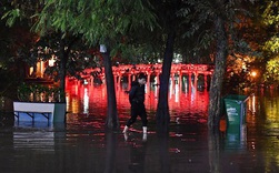 Mưa tràn bờ Hồ Hoàn Kiếm, nhiều tuyến đường Hà Nội ngập trong đêm giao thừa Canh Tý 2020