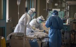 Trung Quốc ghi nhận 409 ca nhiễm mới và 150 ca tử vong do dịch COVID-19