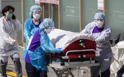 Số ca nhiễm COVID-19 ở Hàn Quốc tăng lên 7.382, đã có 51 người chết