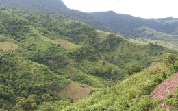Phát hiện một doanh nghiệp chuyển đổi trái phép hàng chục hecta đất rừng tại Lâm Đồng