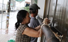 Người dân ven biển Quảng Ngãi cố chằng chống nhà cửa trước khi bão số 9 đổ bộ: "Giờ nhà cửa mình đã cố giữ, nếu mất thì đành chịu thôi"