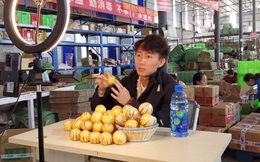 Nông sản sạch: ‘Vũ khí’ giúp ông lớn TMĐT Pinduoduo giữ chân người dùng, tăng tính cạnh tranh với Alibaba và JD.com