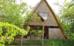 Hiu hắt homestay