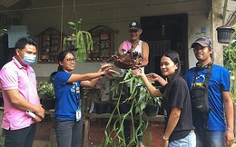 'Cơn sốt cây xanh' giữa mùa dịch ở Philippines