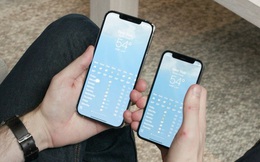 Thương gia Việt "ghẻ lạnh" iPhone 12 mini: iPhone 12 Pro Max bày bán tràn lan, iPhone 12 mini không một ai dám nhập