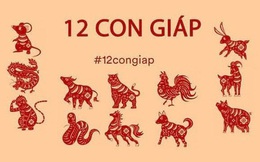 Tử vi tài lộc tháng 10 âm lịch của 12 con giáp: Sửu tài vận rực sáng, Dần được quý nhân hậu đãi, Hợi thu tiền ào ào như nước!