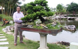 Đại gia Cao Tiến Đoan: Ông bầu "tin đồn" của Thanh Hóa FC và siêu dự án 14 năm chưa triển khai