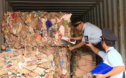Hơn 1.500 container phế liệu 'nằm ăn vạ' ở cảng Cát Lái nhiều năm