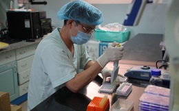 Việt Nam sẽ thử nghiệm vaccine Covid-19 trên người vào tháng 11