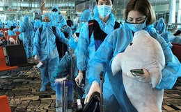 Hơn 50 tỉ đồng tiền bảo hiểm đang chờ lao động Việt Nam tại Hàn Quốc