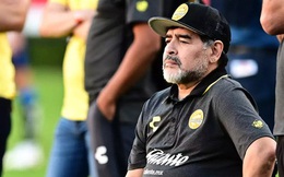 Cuộc chiến phân chia tài sản rắc rối giữa 11 người con Maradona