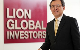Quỹ đầu tư hàng đầu Đông Nam Á thua lỗ sau 13 năm tham gia thị trường chứng khoán Việt Nam