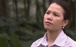 "Đánh bạc" với ông trời, cô gái xinh đẹp đi nuôi lợn, mỗi năm có doanh thu hơn 2 tỷ đồng