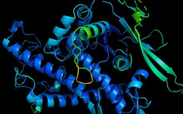 Đột phá: AI của DeepMind giải thành công phần lớn cấu trúc protein, giúp ta hiểu rõ cả bệnh tật lẫn thuốc thang