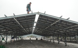 Kỳ lạ làm trang trại ‘điện mặt trời’ tại TT-Huế: Áp mái lên hàng loạt nhà... không mái