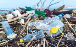 3 nhãn hiệu đứng đầu thế giới về rác thải nhựa: Coca-Cola, Nestle và PepsiCo