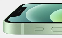 Apple thật ra phải "nhờ" rất nhiều công ty khác để sản xuất iPhone 12
