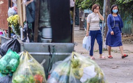 Gần Tết Dương lịch, nhiều tuyến phố Hà Nội lại ngập rác