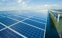 Nhà máy điện mặt trời VNECO Vĩnh Long với vốn đầu tư 1.156 tỷ đồng đã chính thức đi vào hoạt động