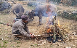 Hà Giang rét tê tái, người dân nổi lửa sưởi ấm cho gia súc