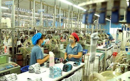 McKinsey: Việt Nam sẽ có 12 hệ sinh thái đa lĩnh vực với doanh thu khoảng 100 tỷ USD vào năm 2025