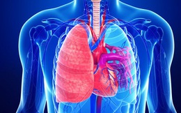 Khi có 3 biểu hiện này vào buổi sáng, hãy cẩn thận vì phổi của bạn đang "kêu cứu"