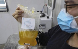 Covid-19: Mỹ dùng huyết tương điều trị, Iran 24.800 ca bệnh vẫn chưa phong tỏa
