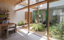 Căn nhà yên vui dưới bóng nắng và cây xanh của gia đình trẻ ở Nhật Bản