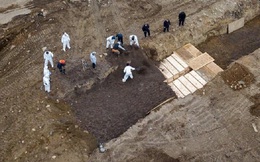 New York thuê lao động tạm thời ra đảo chôn người chết vì COVID-19