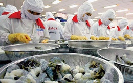 Hàng mắc tại cảng vì dịch COVID-19, kiến nghị giảm 50% phí cắm điện